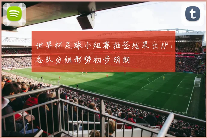 世界杯足球小组赛抽签结果出炉,各队分组形势初步明朗